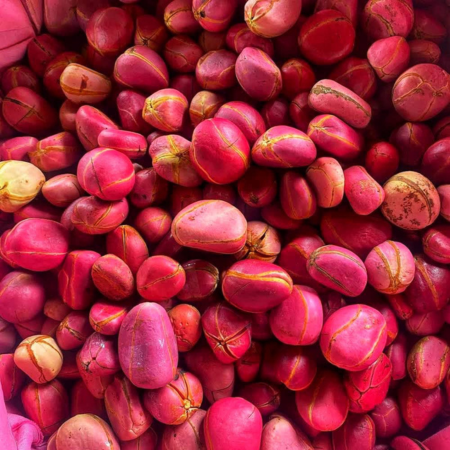 Red+Kola+Nuts+-+Sourced+from+Organic+Farms