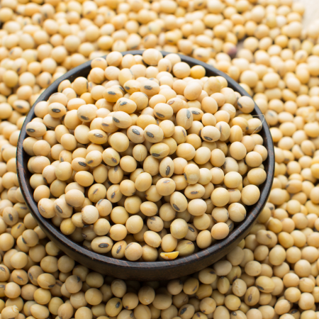 Soybeans+-+Nutrient-Rich+and+Versatile