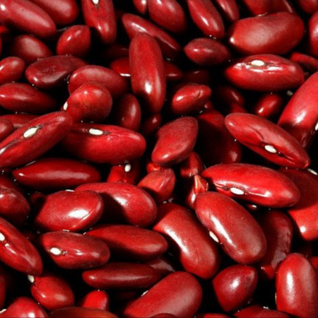 Red+Beans+-+High+Quality+and+Organically+Grown